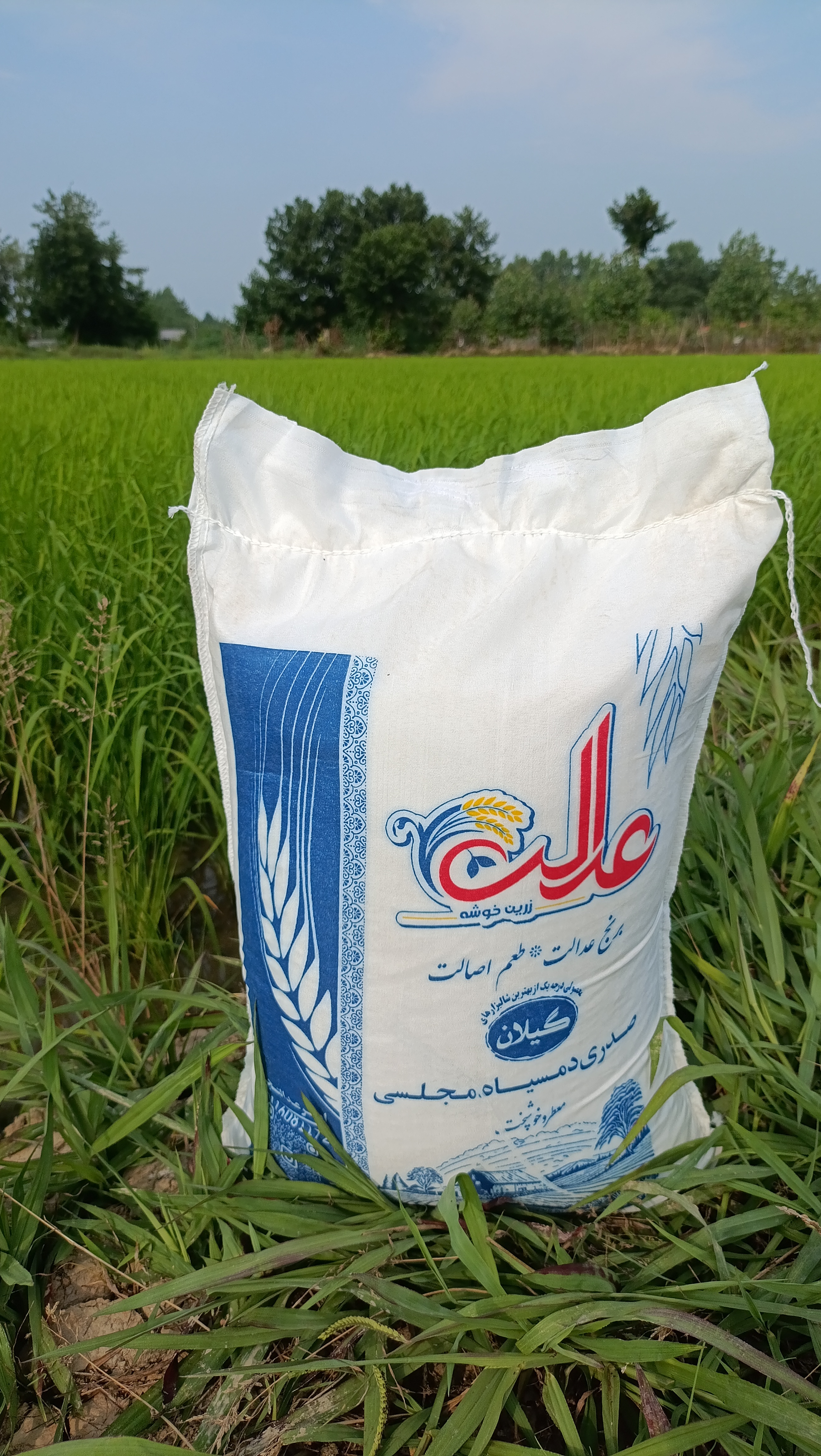 برنج صدری دمسیاه ۱۰ کیلویی