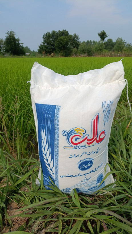 برنج صدری دمسیاه ۱۰ کیلویی